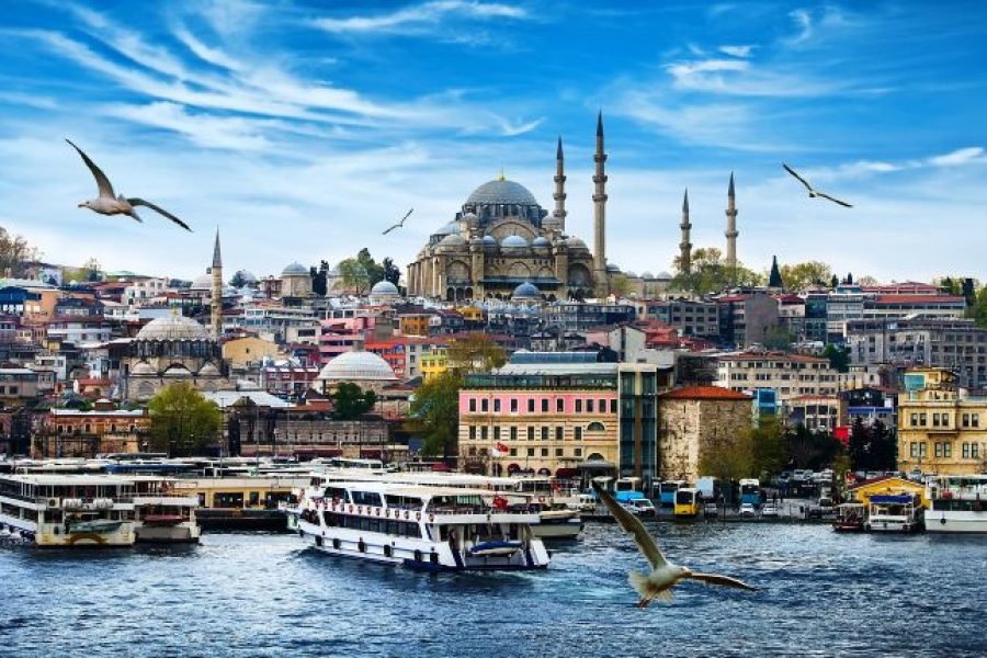 Splendid Turkey