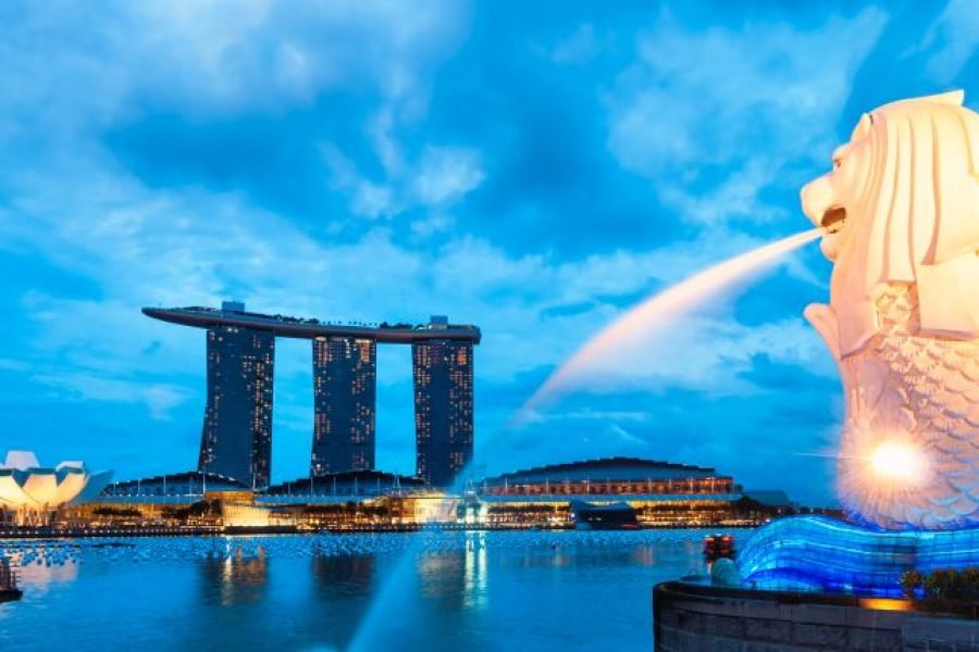 Dynamic Singapore