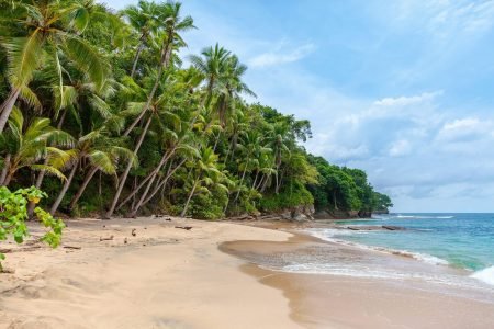 Why the Caribbean is the Perfect Honeymoon Destination