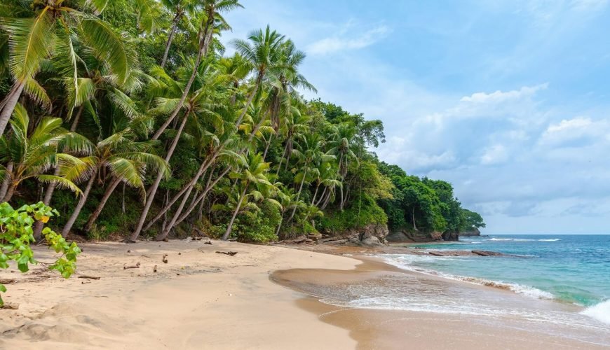 Why the Caribbean is the Perfect Honeymoon Destination