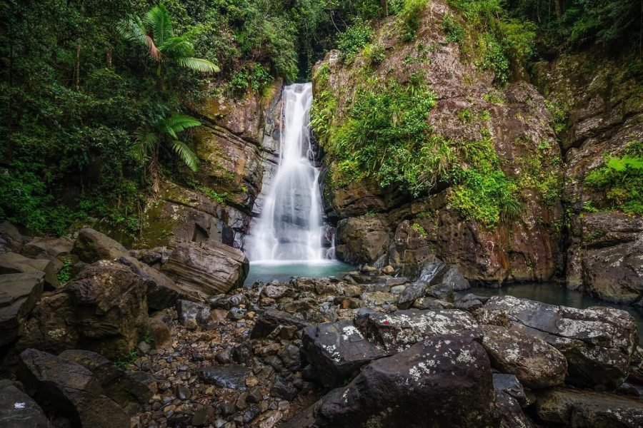 El Yunque Rainforest Adventure